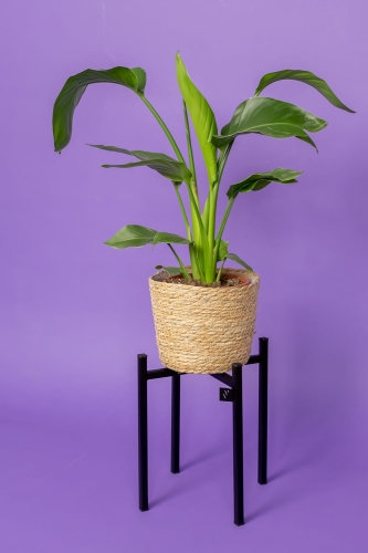 Stojak na kwiaty śr.25cm