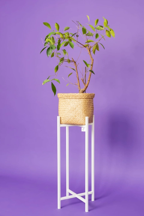 Metalowy stojak na kwiaty 60 cm śr. 20cm