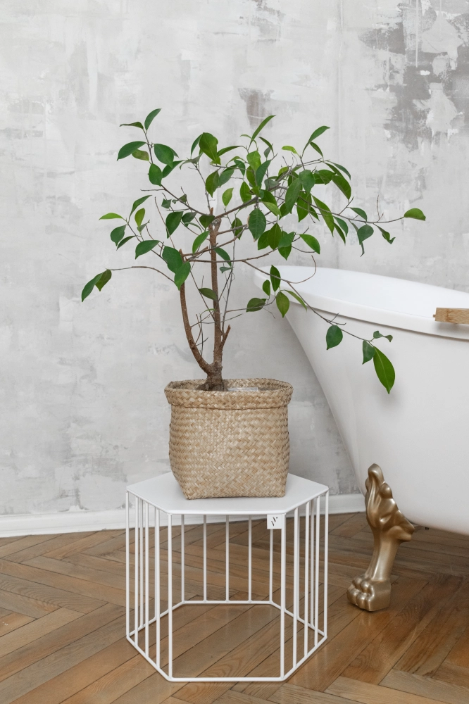 Metalowy kwietnik o podstawie sześcianu